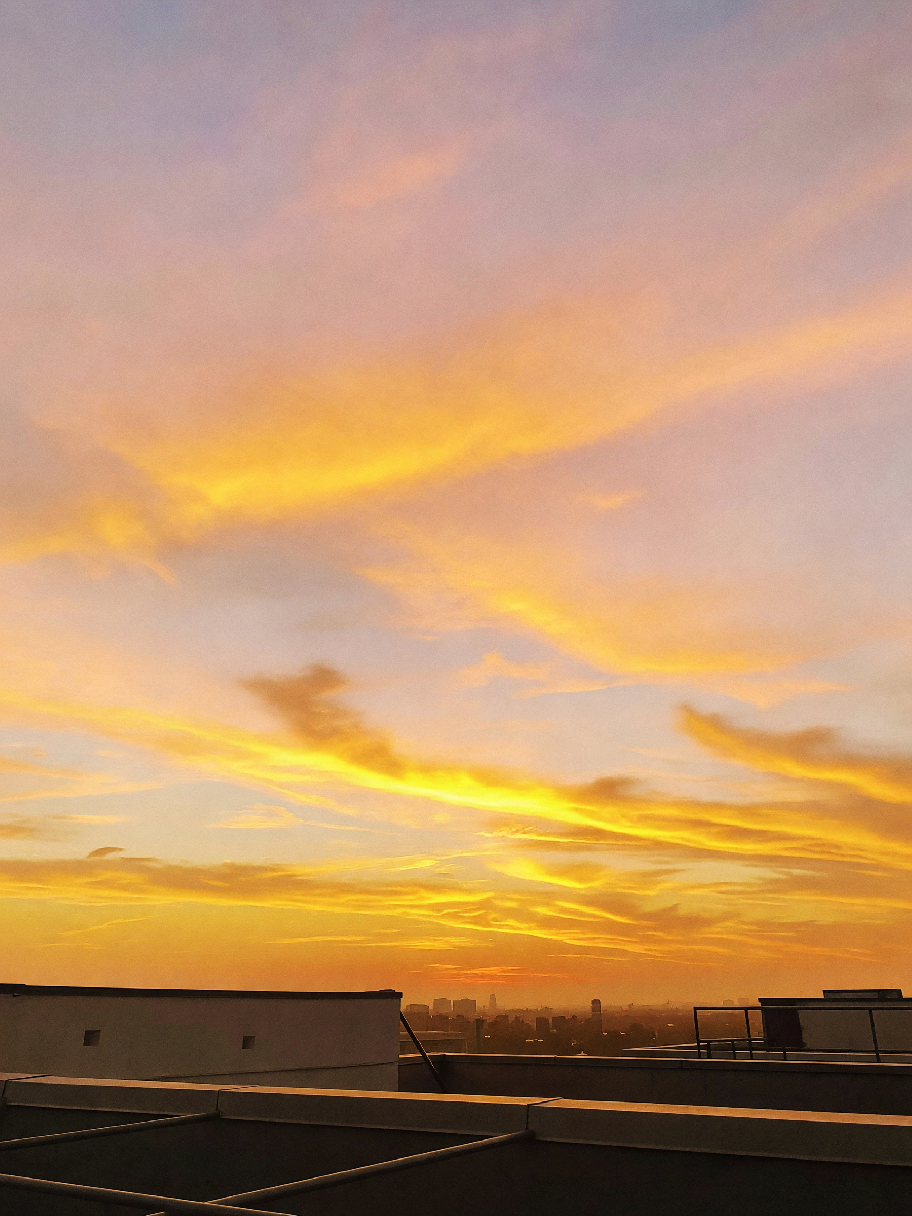 walked up here after work just to watch the sky shift colors. needed a quiet min