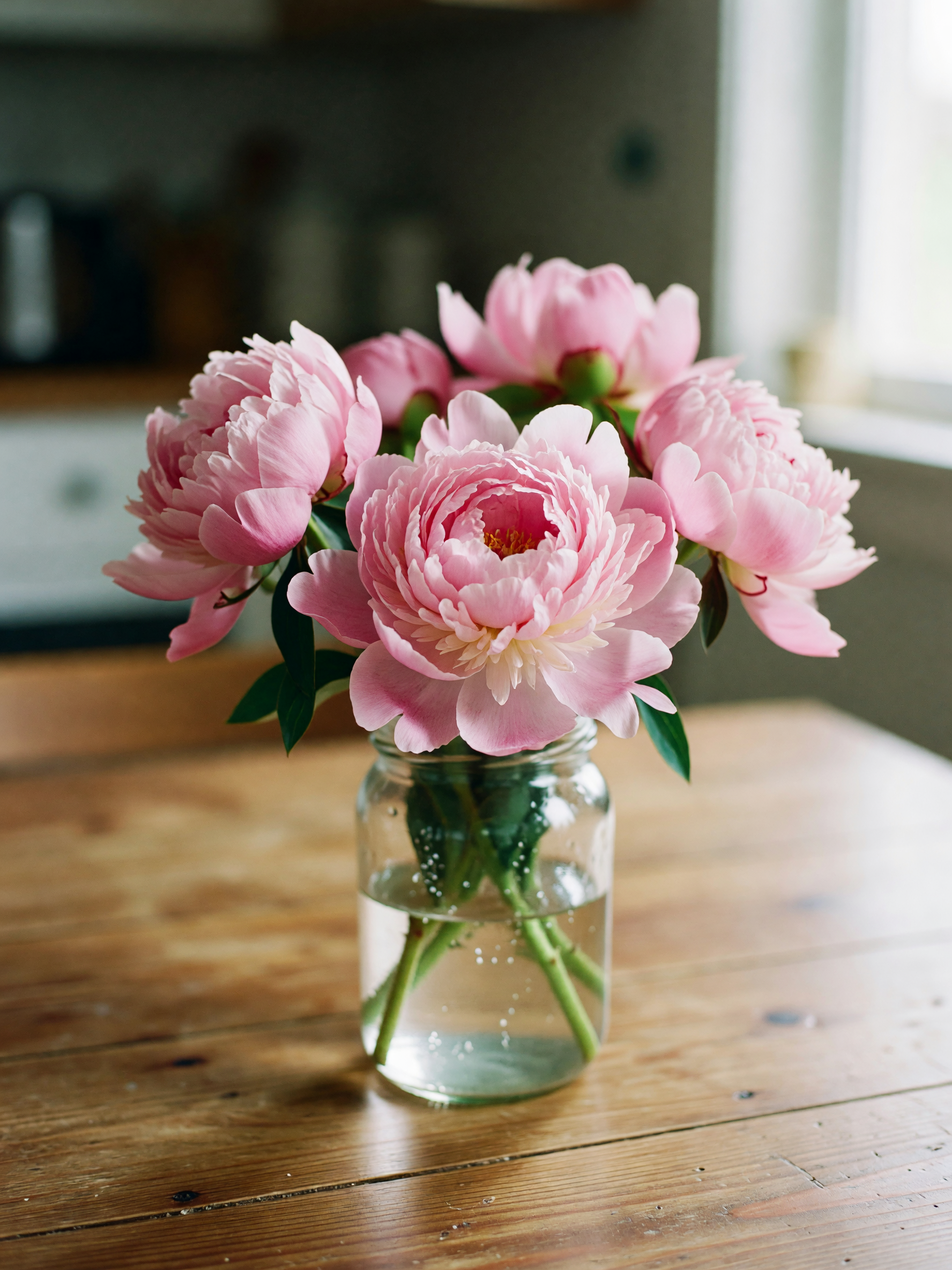 stopped at the farmers market on the way home and these peonies were too pretty 