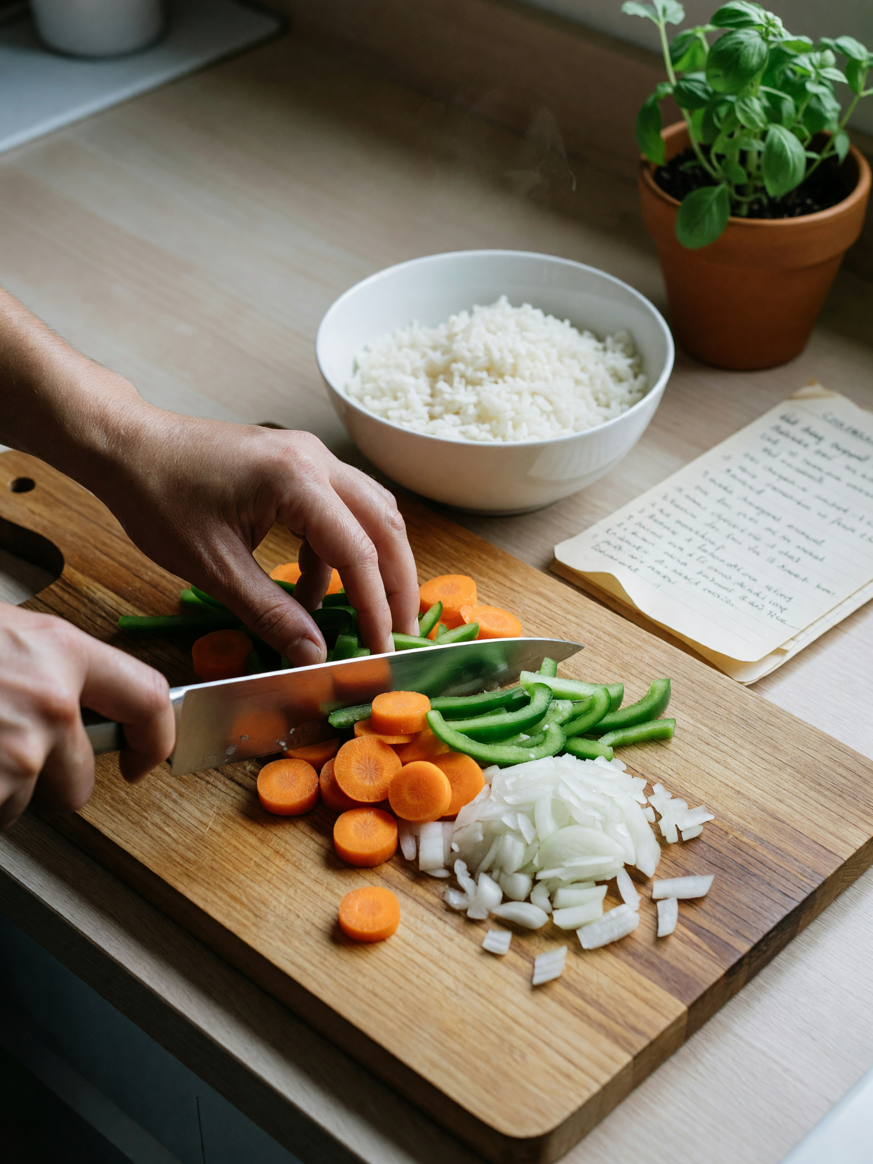 chopping carrots and onions for a simple stir fry, already plated some rice on t