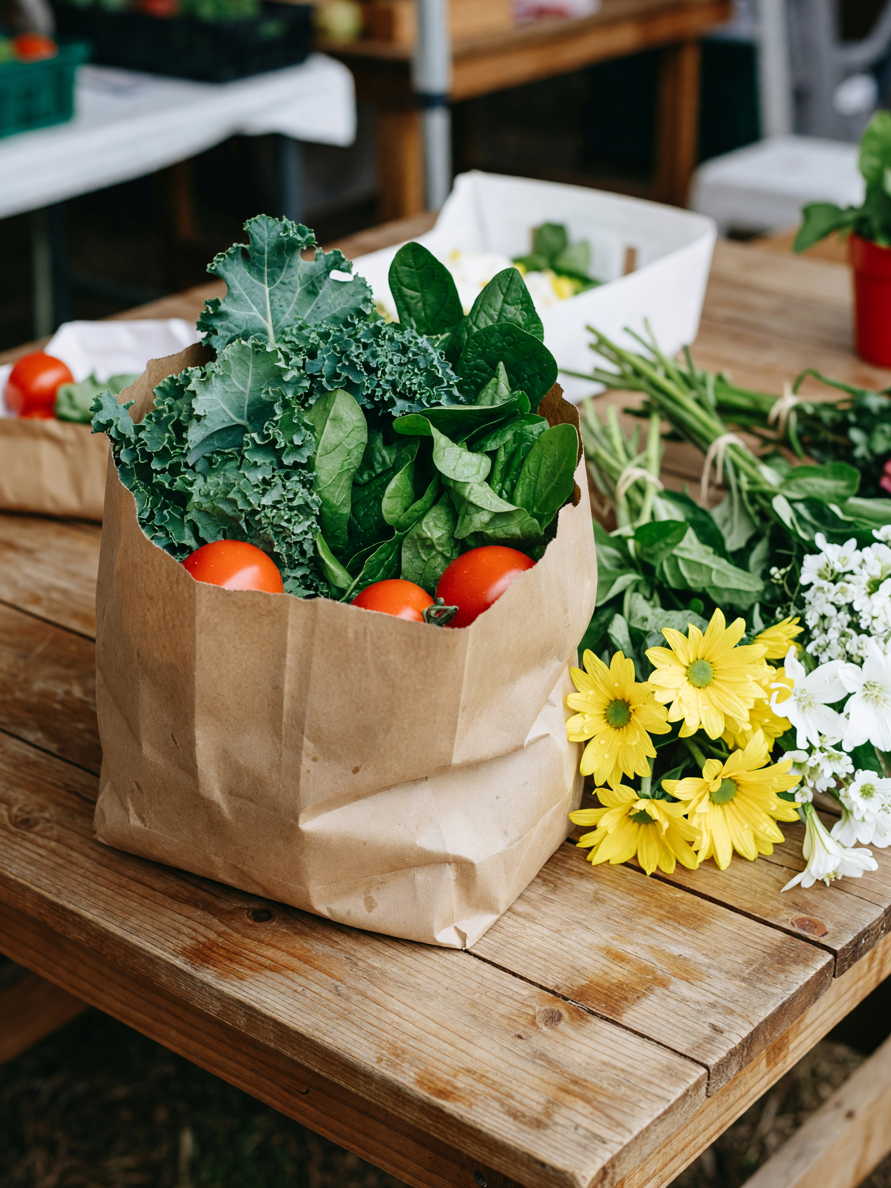 came for zucchini and ended up with a paper bag full of tomatoes and three bunch