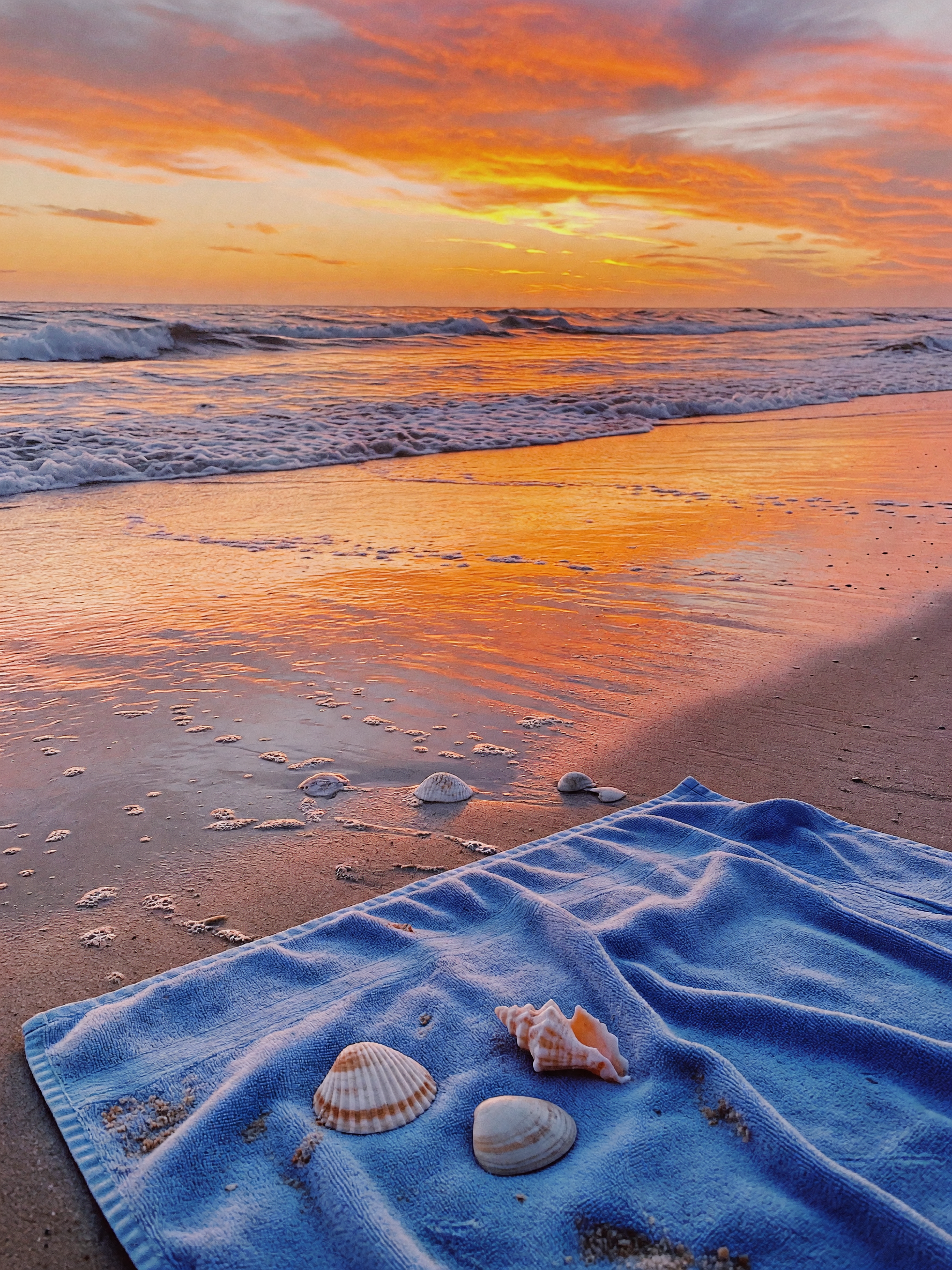 found these shells while the sky turned pink over the water. toes in the sand, n