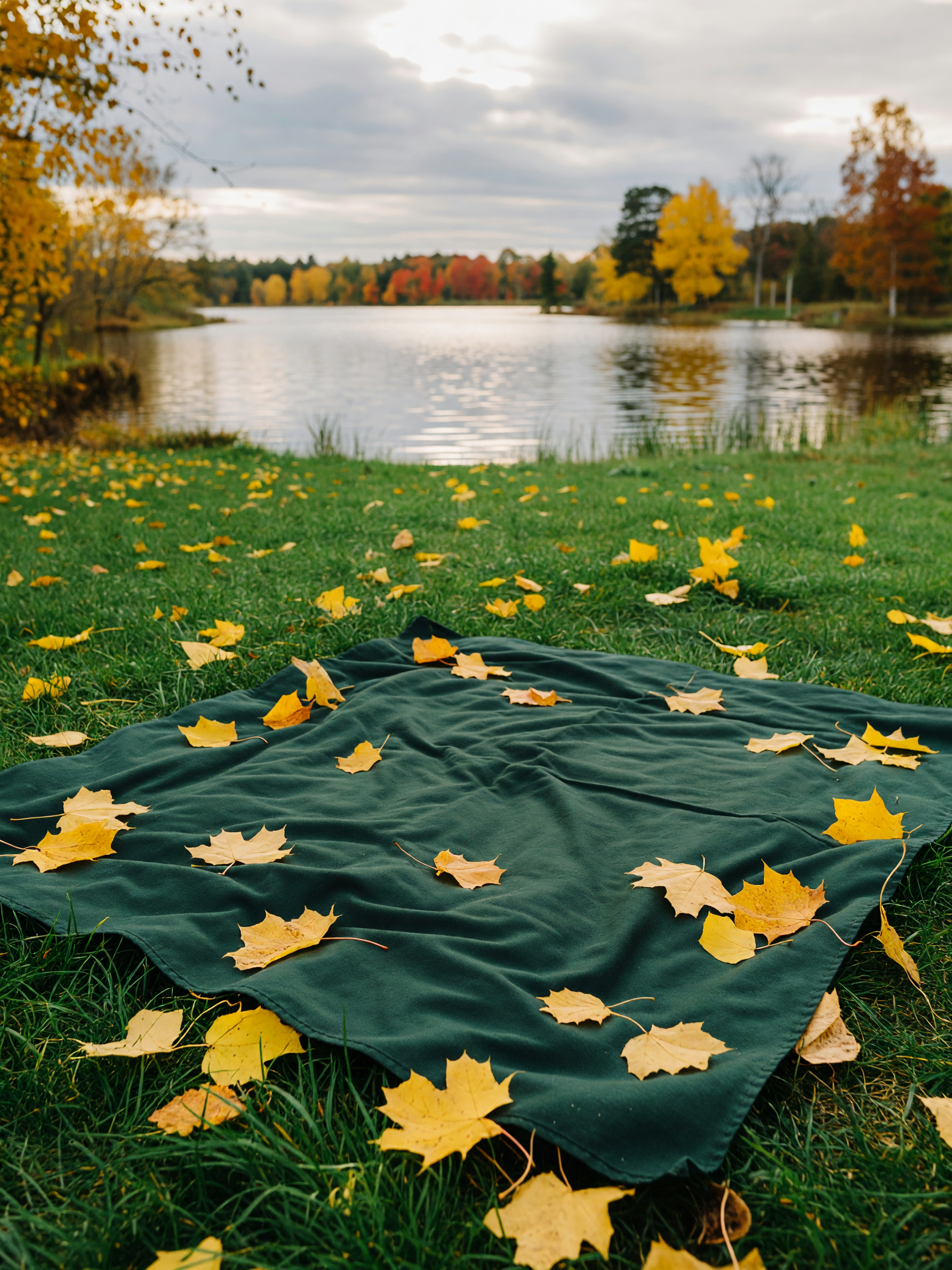 simple afternoon on the grass watching the ducks and the leaves do their thing