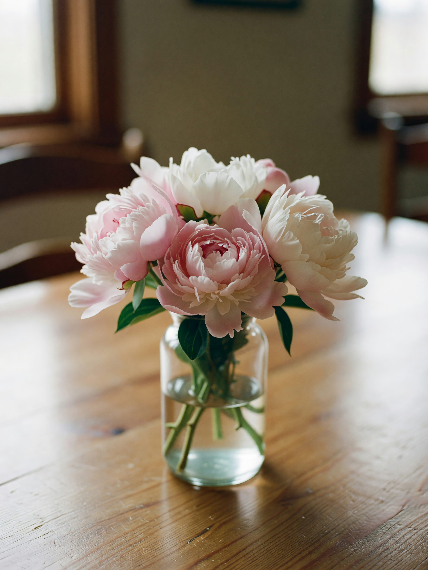 stopped by the market on my way home and these peonies looked too pretty to pass
