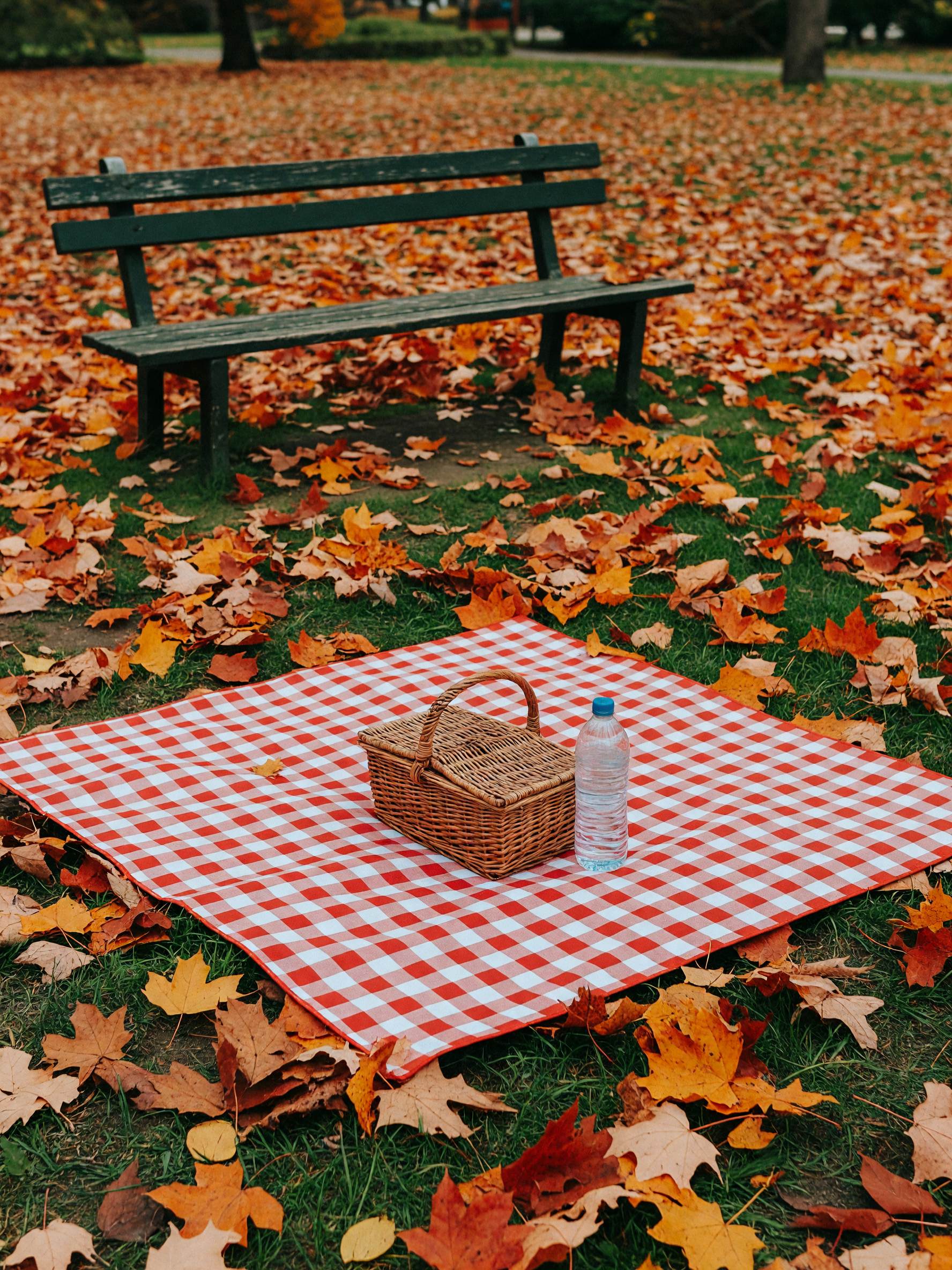 finally used the picnic blanket that's been in my trunk forever, autumn leaves everywhere and it fel