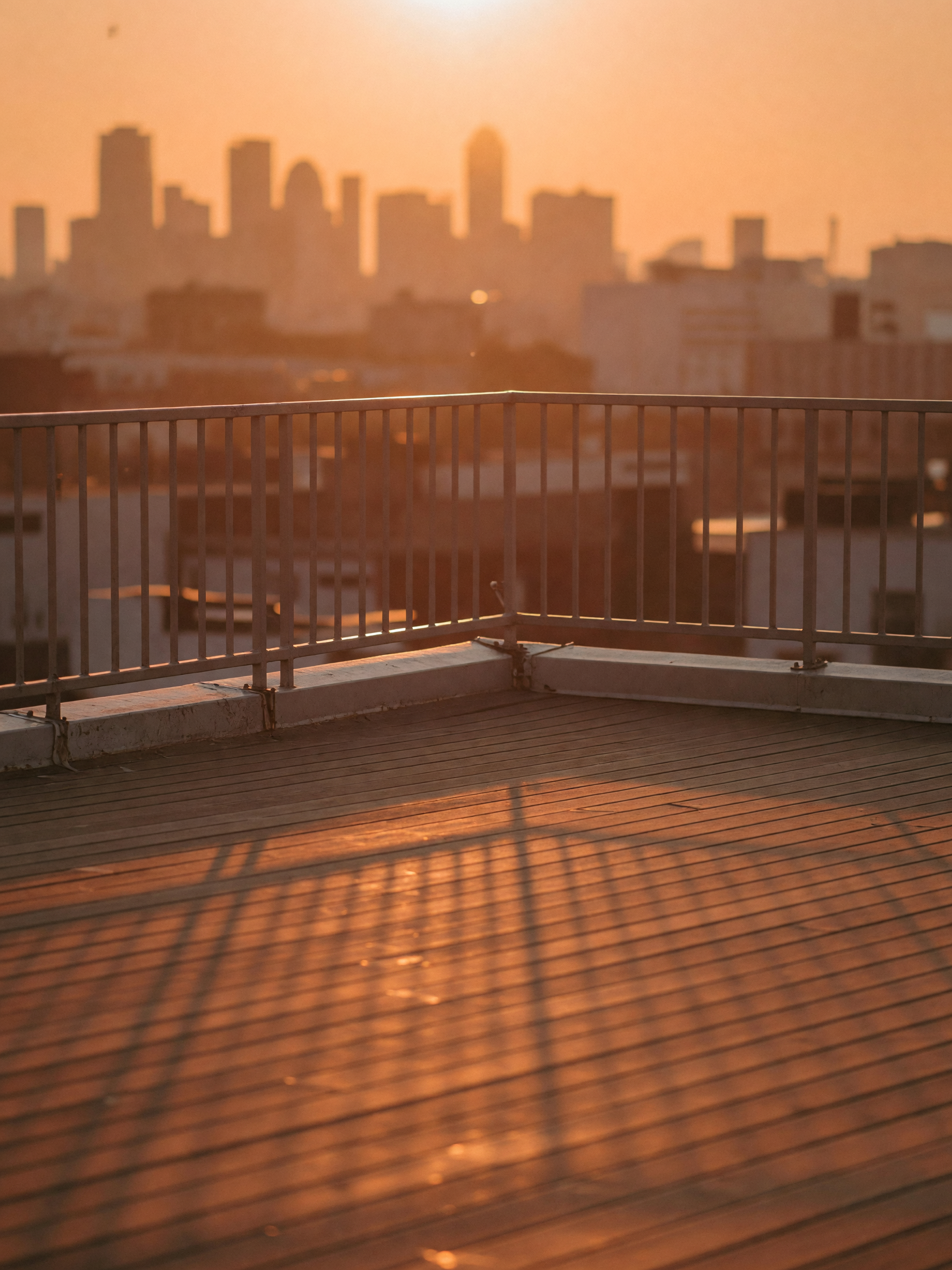 caught the last bit of light before the sky went dark, couldn't not snap it