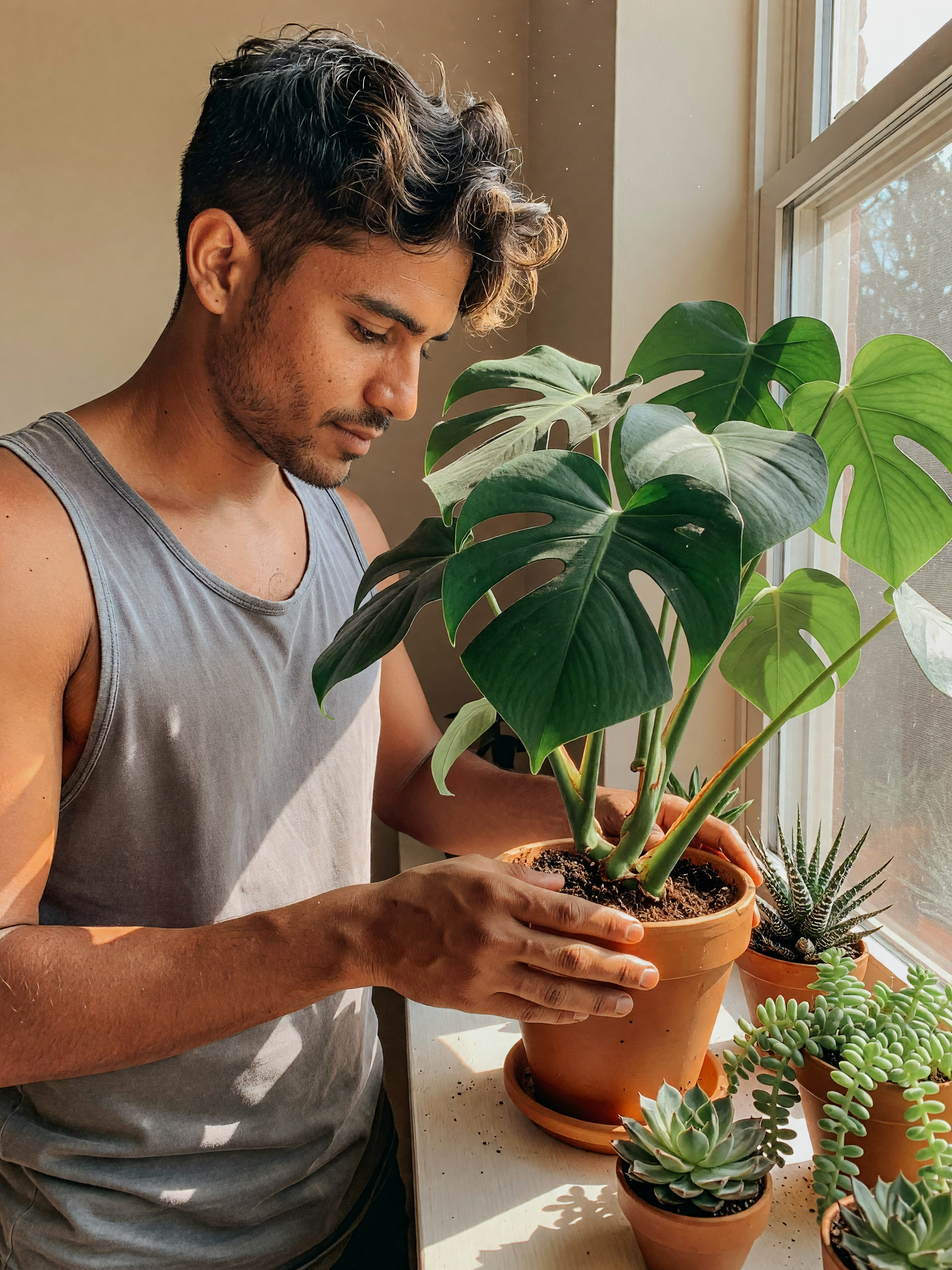 the new monstera got a bigger pot and now it's living its best life. if only repotting humans was th