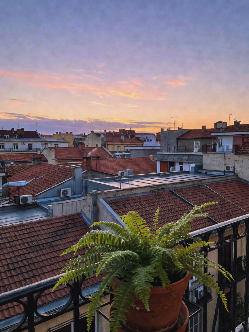Standard room but the balcony view makes up for it. Morning ritual with room ser