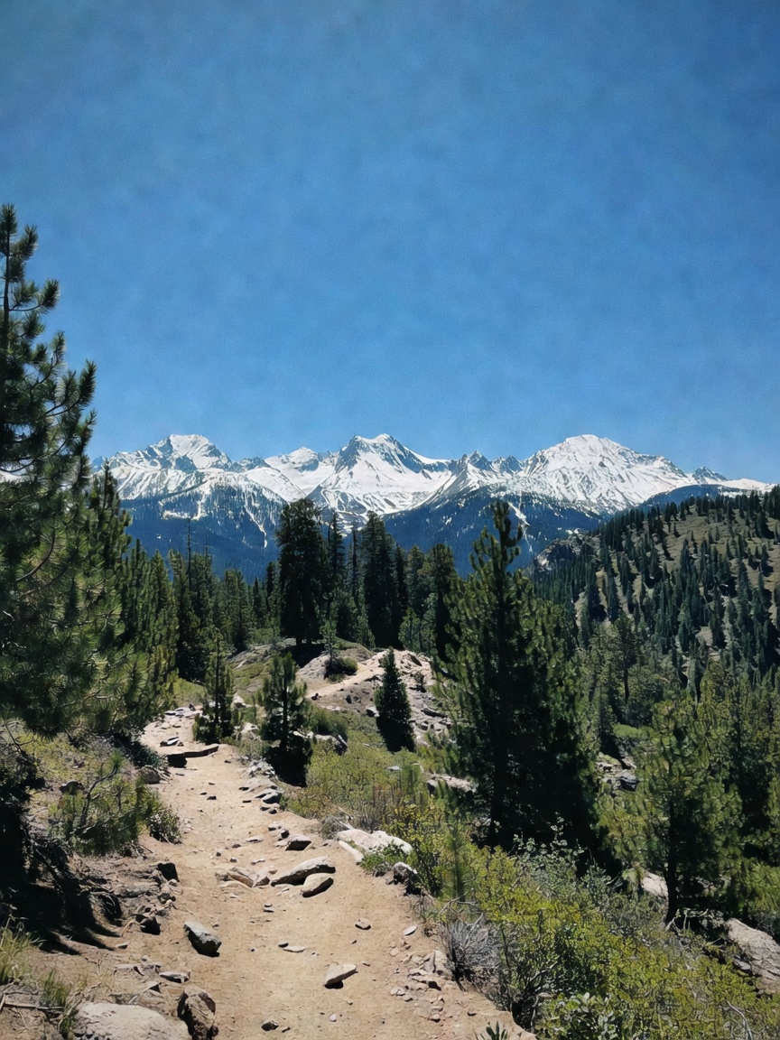 early morning hike paid off with this view... nothing resets me like being out here surrounded by mo