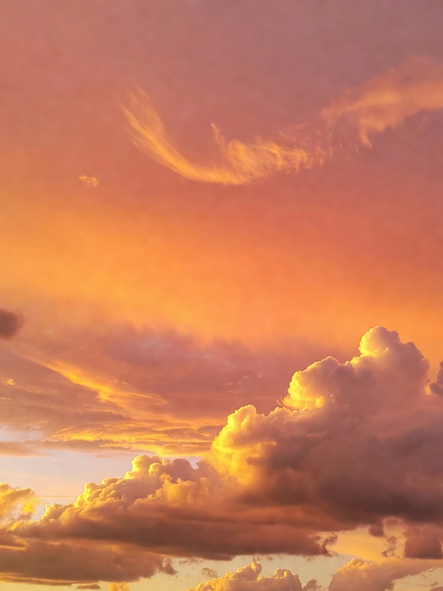 Golden hour never fails to stop me in my tracks. Just me, the sky, and a few min