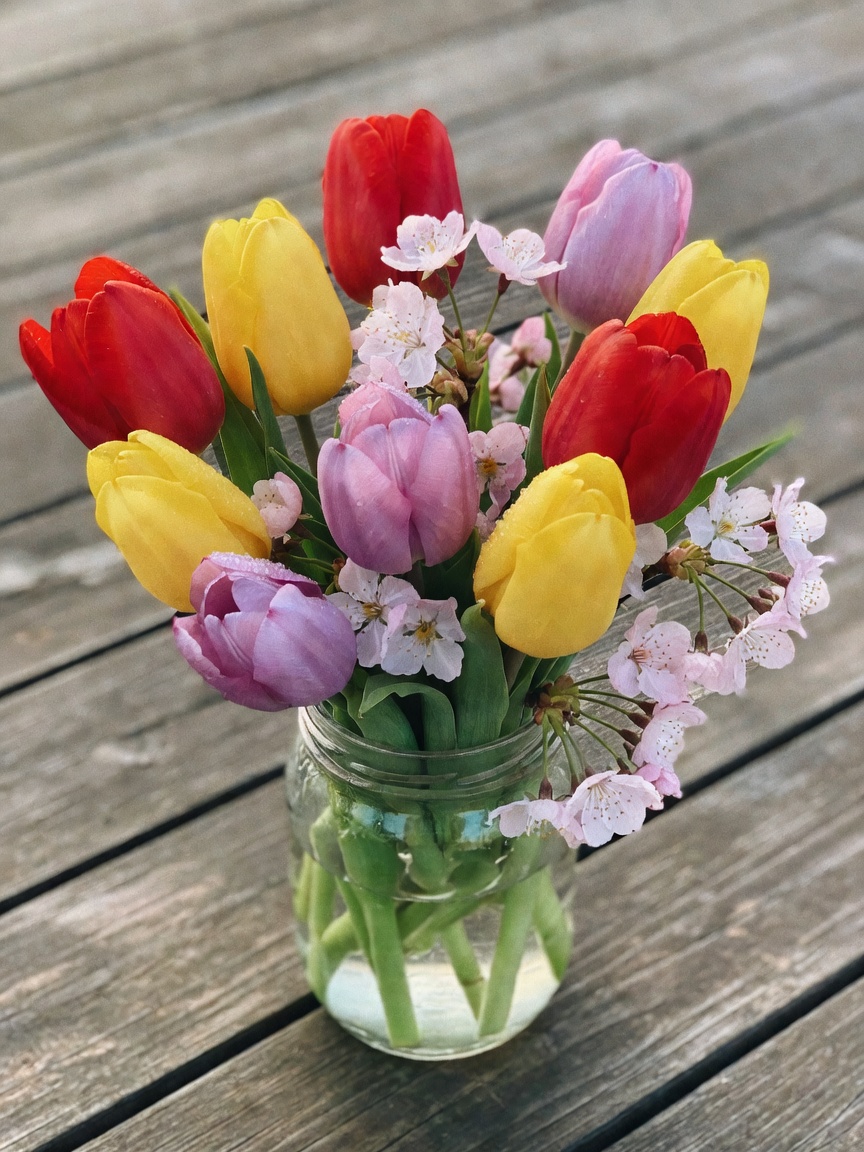 finally got the tulips and cherry blossoms to cooperate for a decent photo. natu